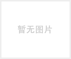 自动升降柱-人行道路桩防撞柱 -人车分离防撞柱